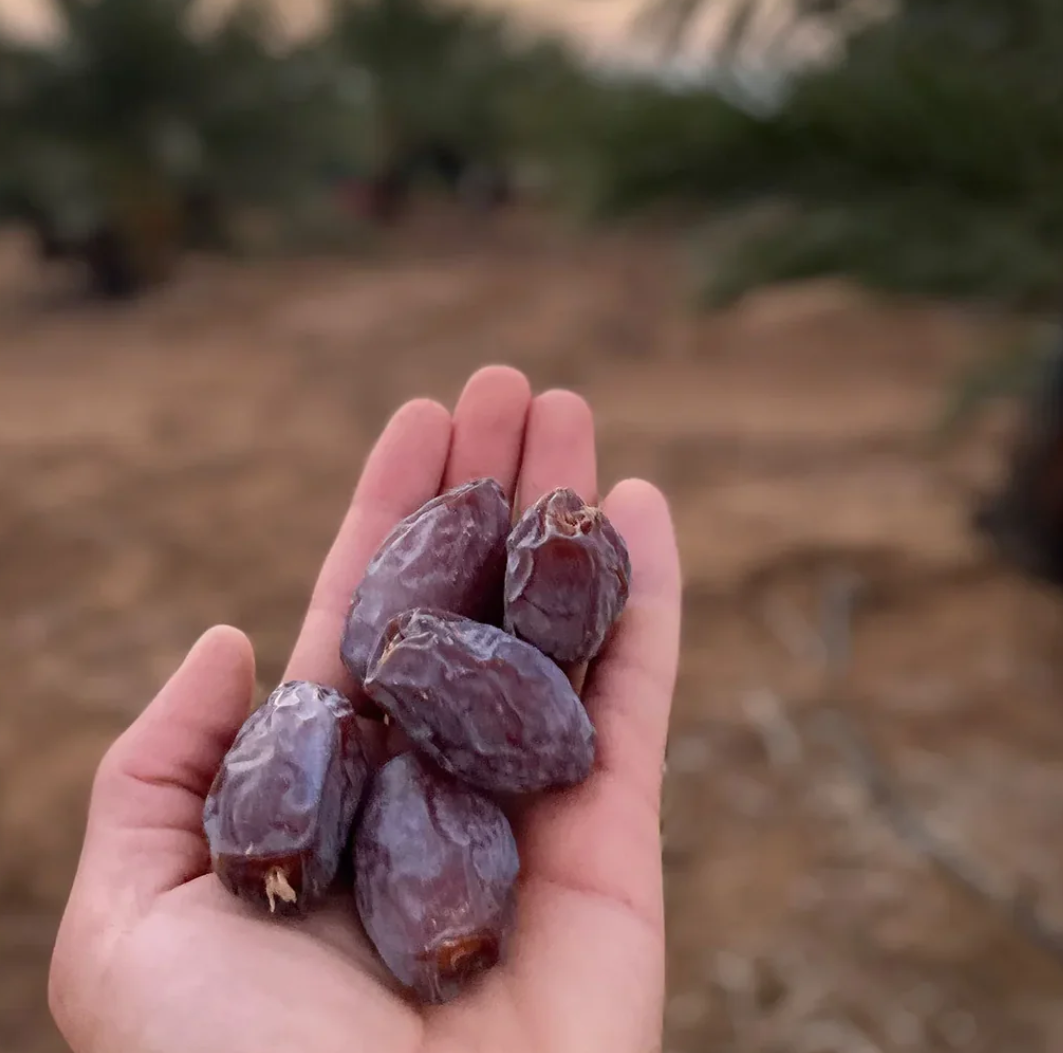 Palestinian Organic Medjool Dates Choice Large/Jumbo 1KG