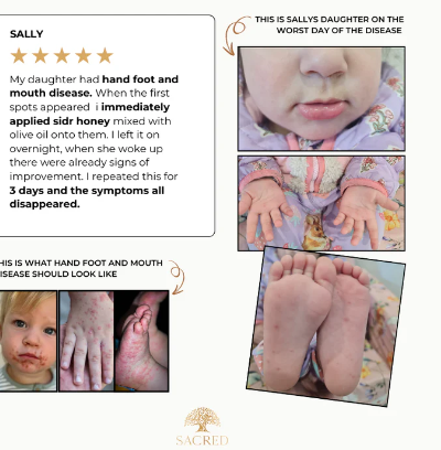 Sacred Sidr Honey 250g